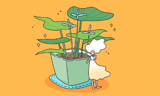 初中毕业后的另一条赛道：为什么说新疆艺术学院附属中等艺术学校值得考虑